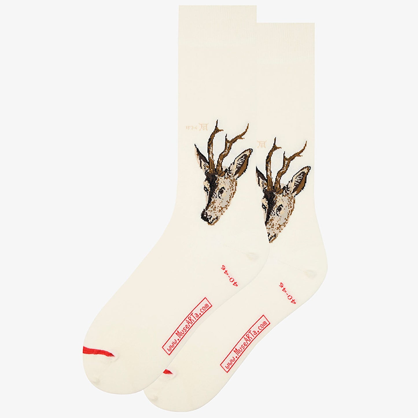 Albrecht Dürer – Head of a deer