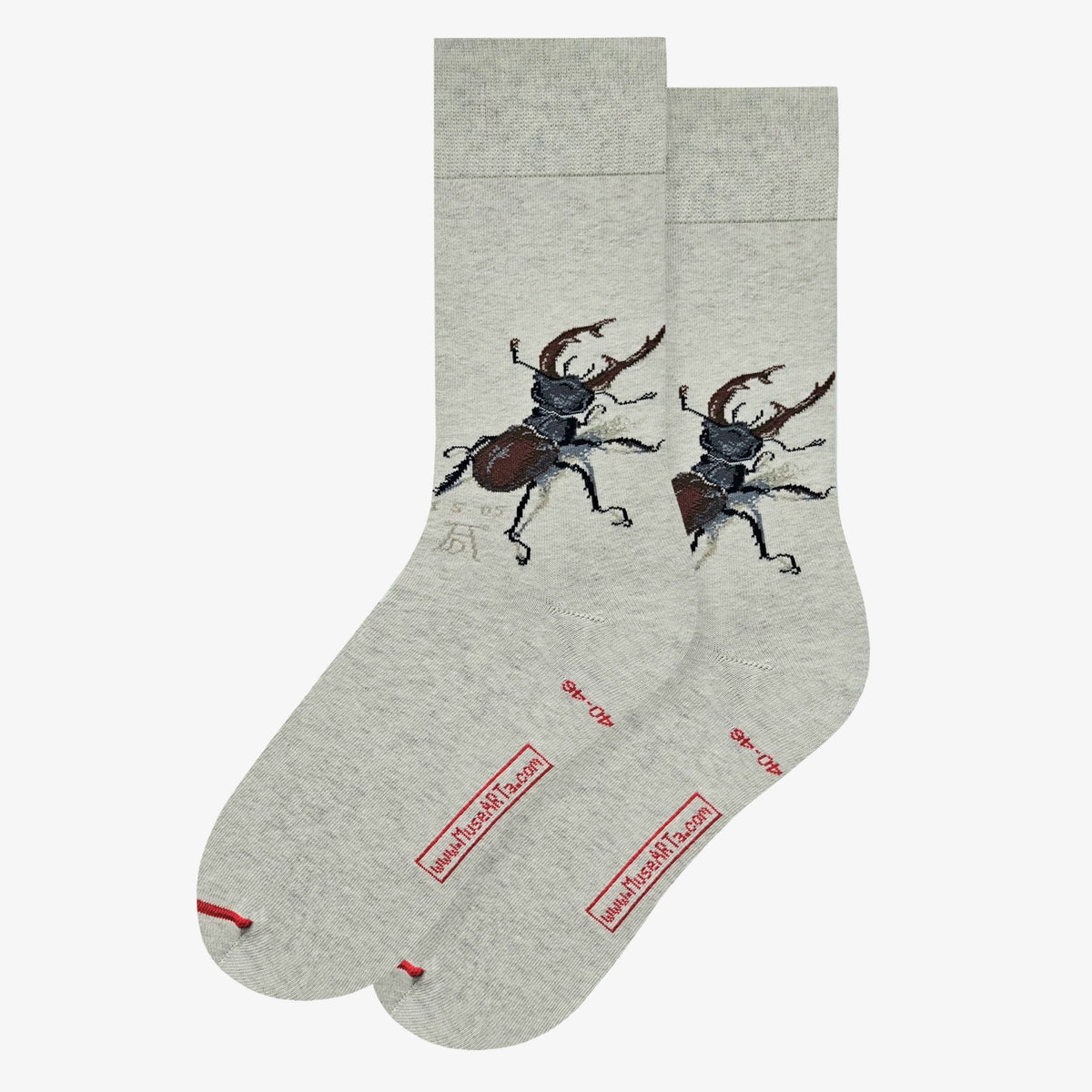 Erwachsene – Albrecht Dürer - Stag Beetle
