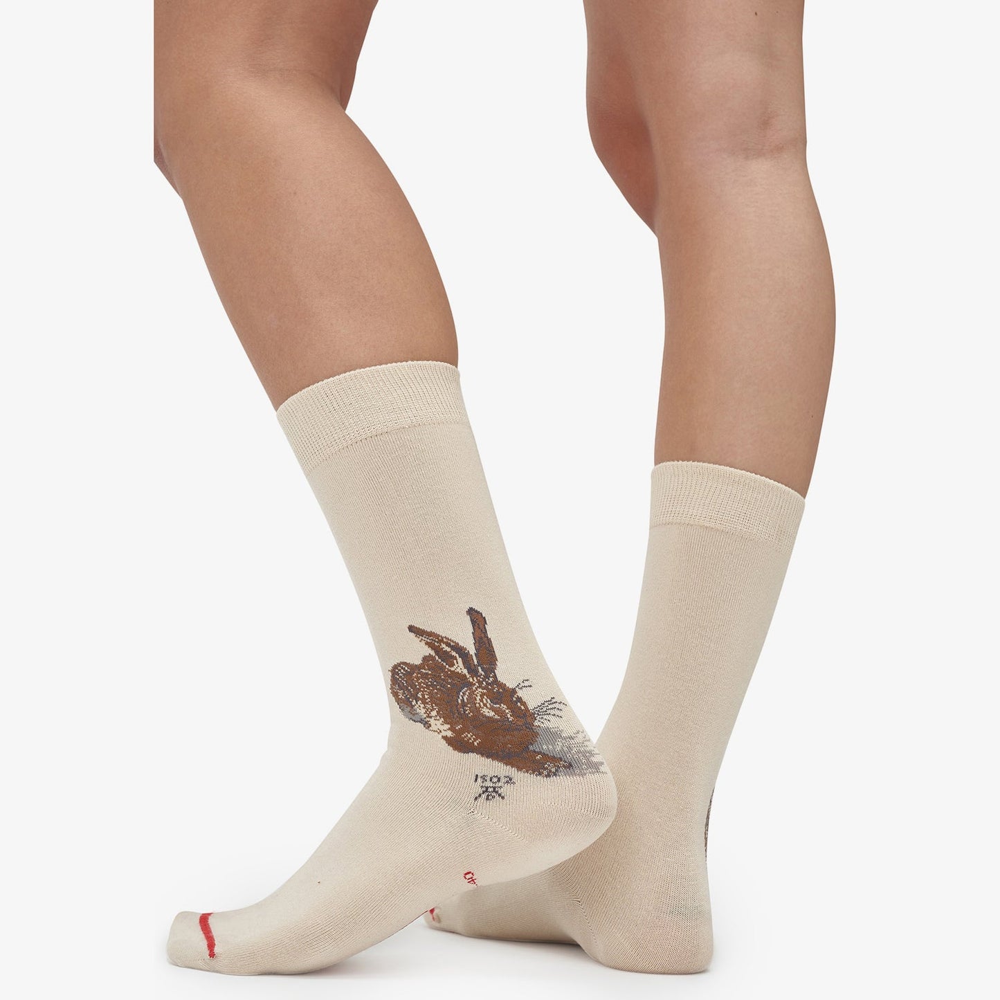 Albrecht Dürer - Feldhase