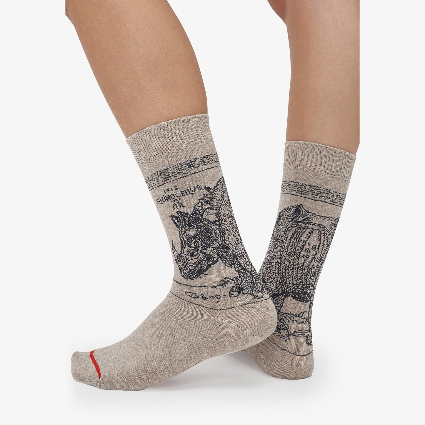 Albrecht Dürer - Rhinozero