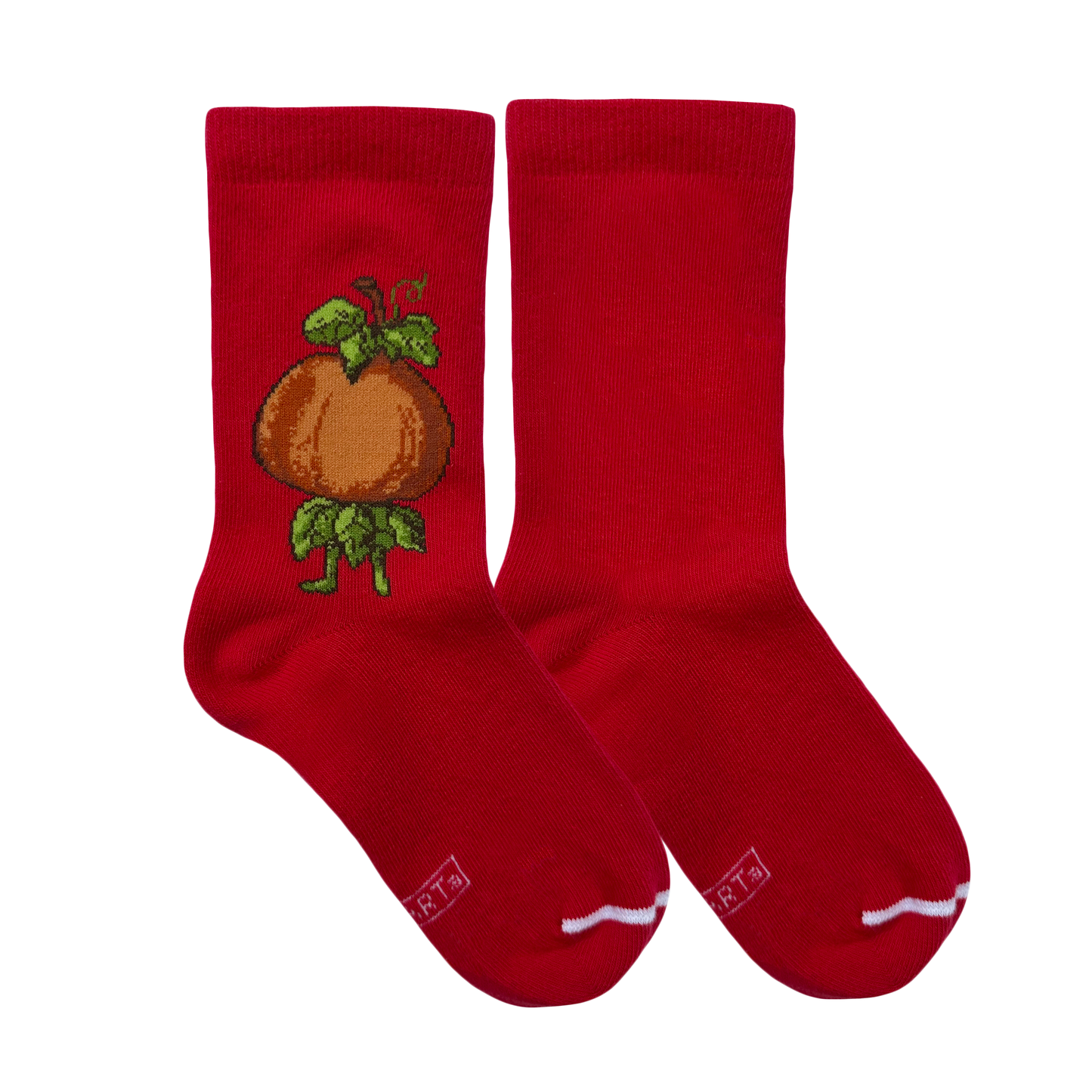 P. Croce - zucca e carota