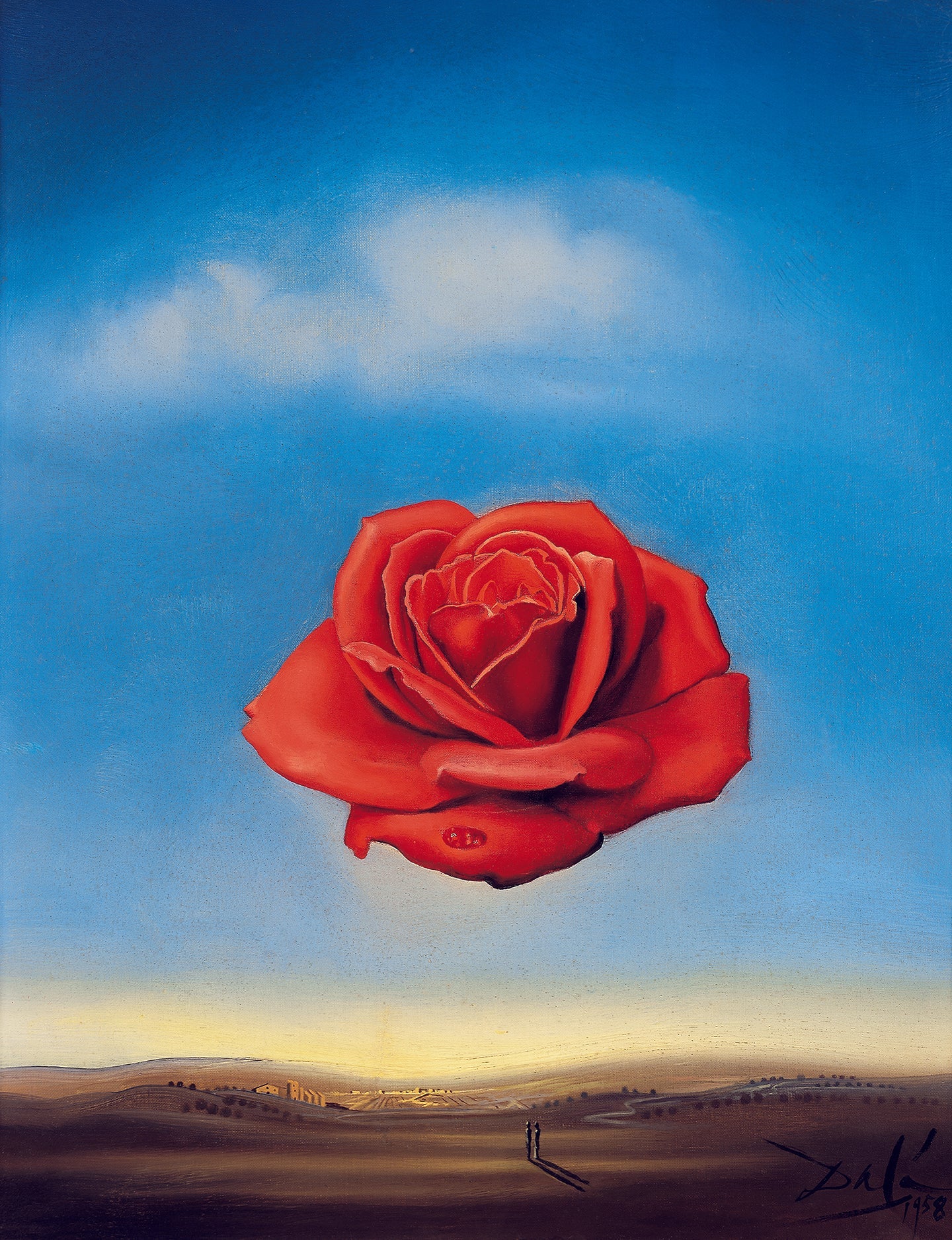 Salvador Dalí - the meditative rose