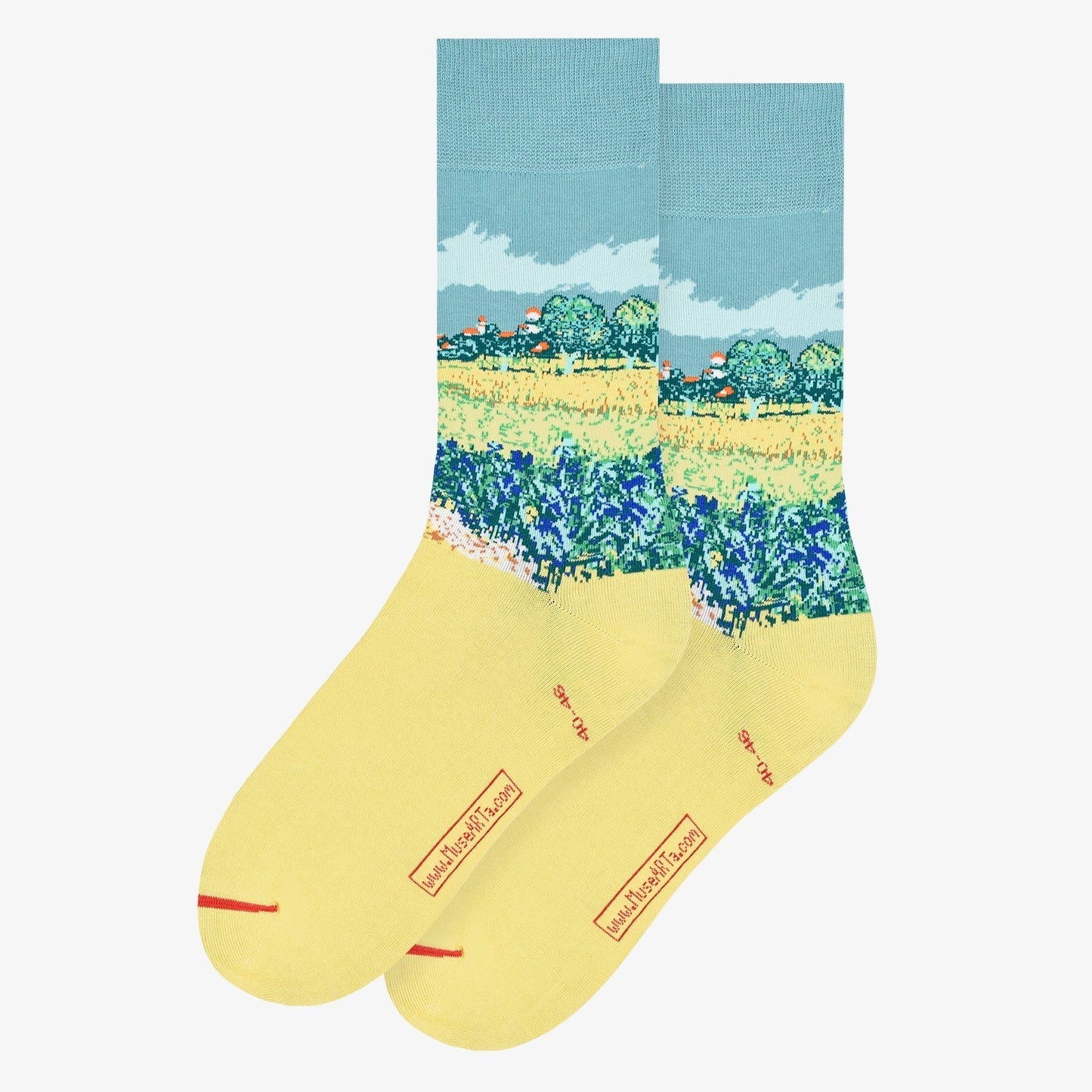 Vincent van Gogh - Feld mit Schwertlilien bei Arles