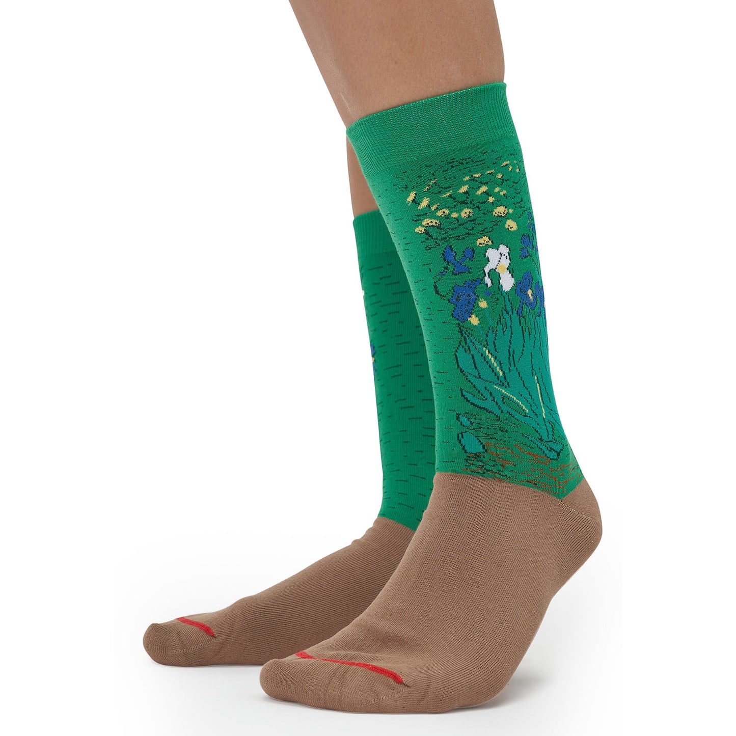 Vincent van Gogh - Íris