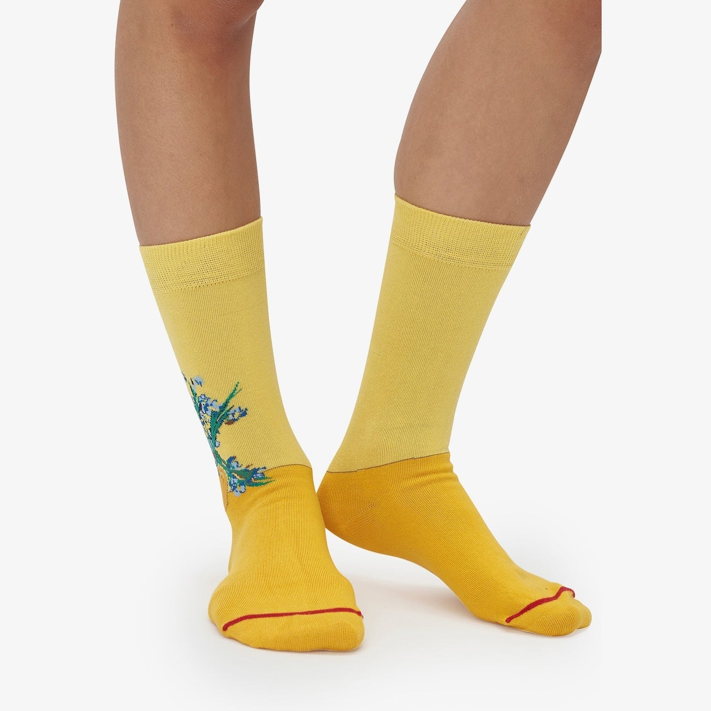 Vincent van Gogh - Íris