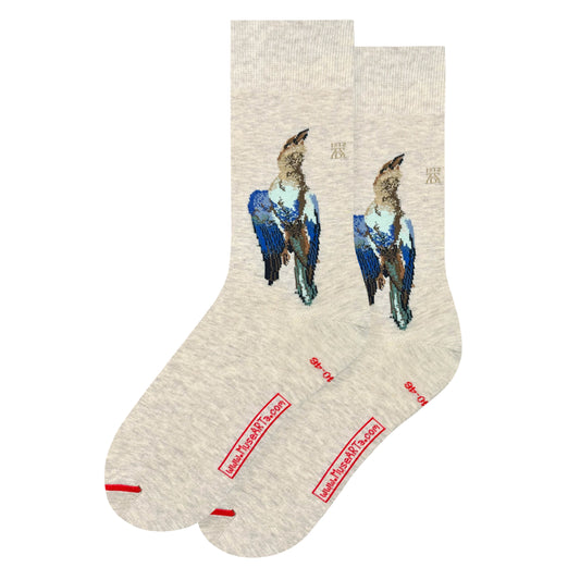 Albrecht Dürer - Dead Blauracke