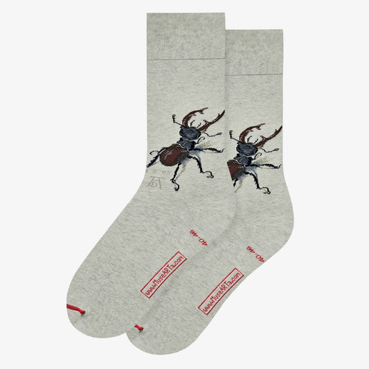 Erwachsene – Albrecht Dürer - Stag Beetle