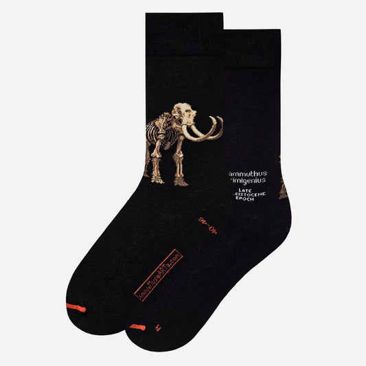 Mammuthus primigenio