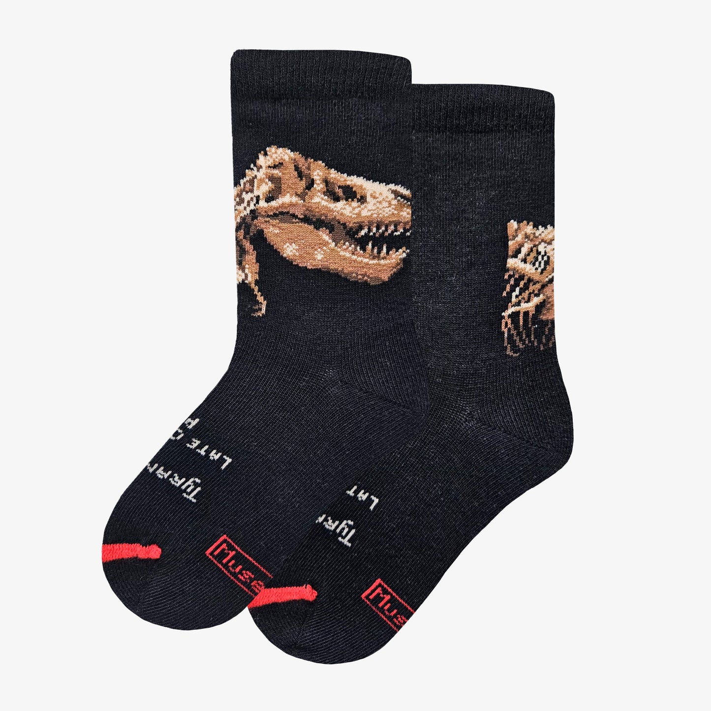 Dinossauros - Tiranossauro rex 2