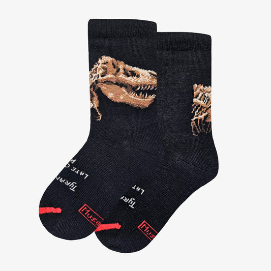 Dinosaurs - Tyrannosaurus rex 2