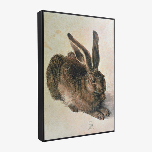 Alberto Durero - Liebre - caja de regalo