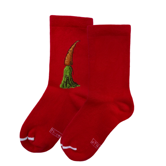 P. Croce - zucca e carota