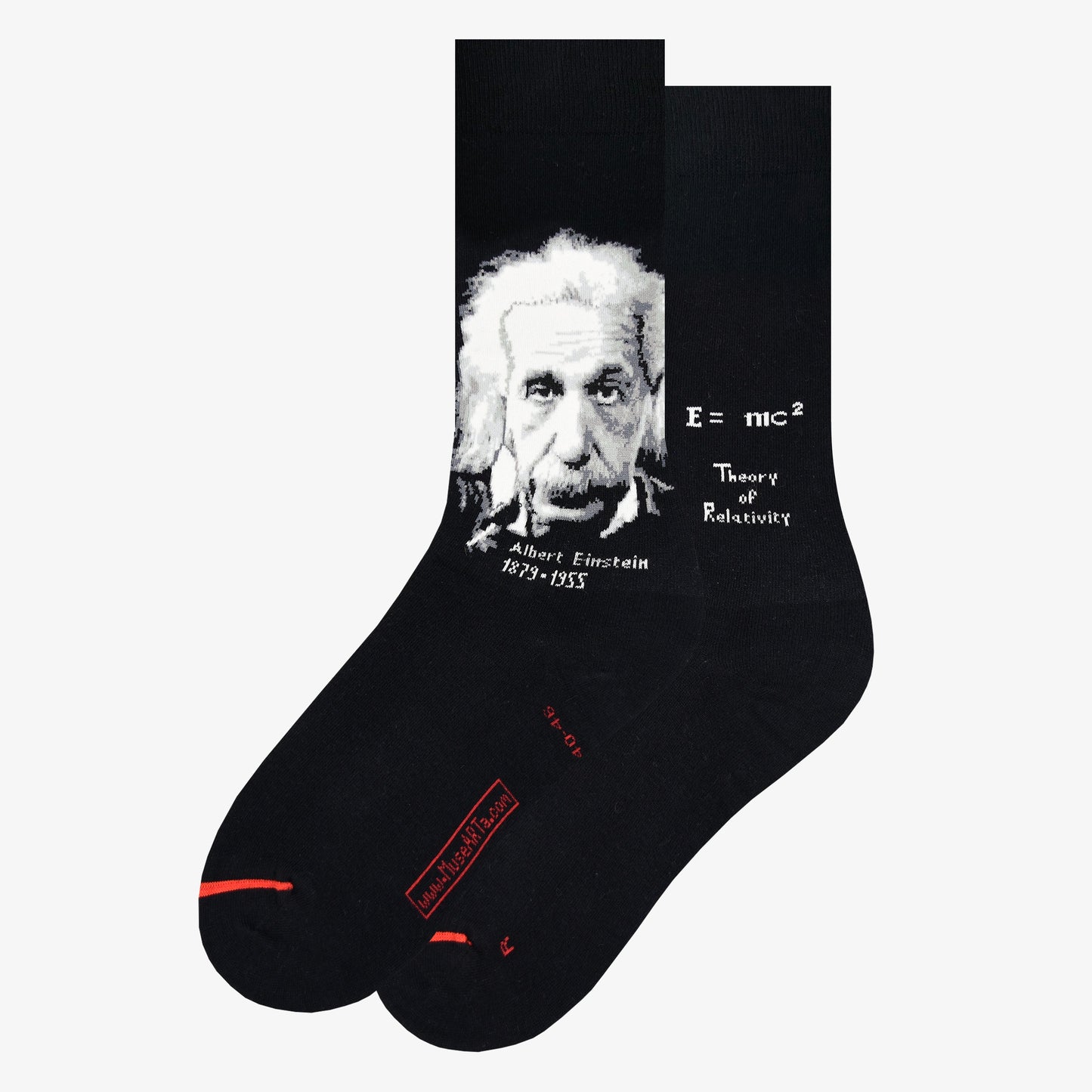 Scienza e storia - Albert Einstein